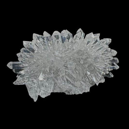 Chrysanthemum Stone