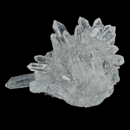 Chrysanthemum Stone