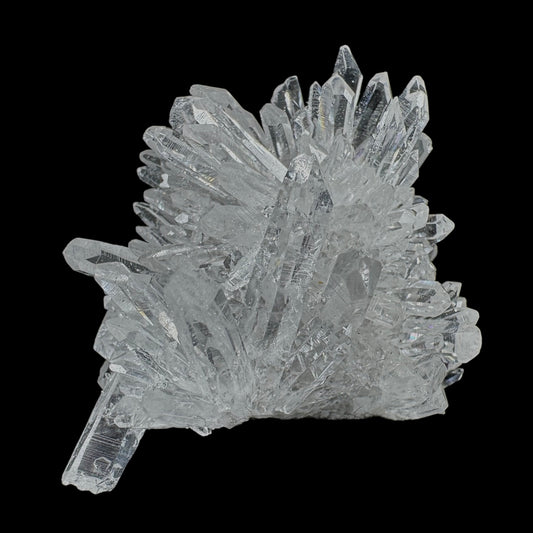 Chrysanthemum Stone