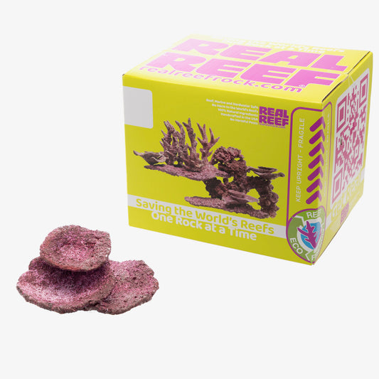 Real Reef Plates - Boxed Rock