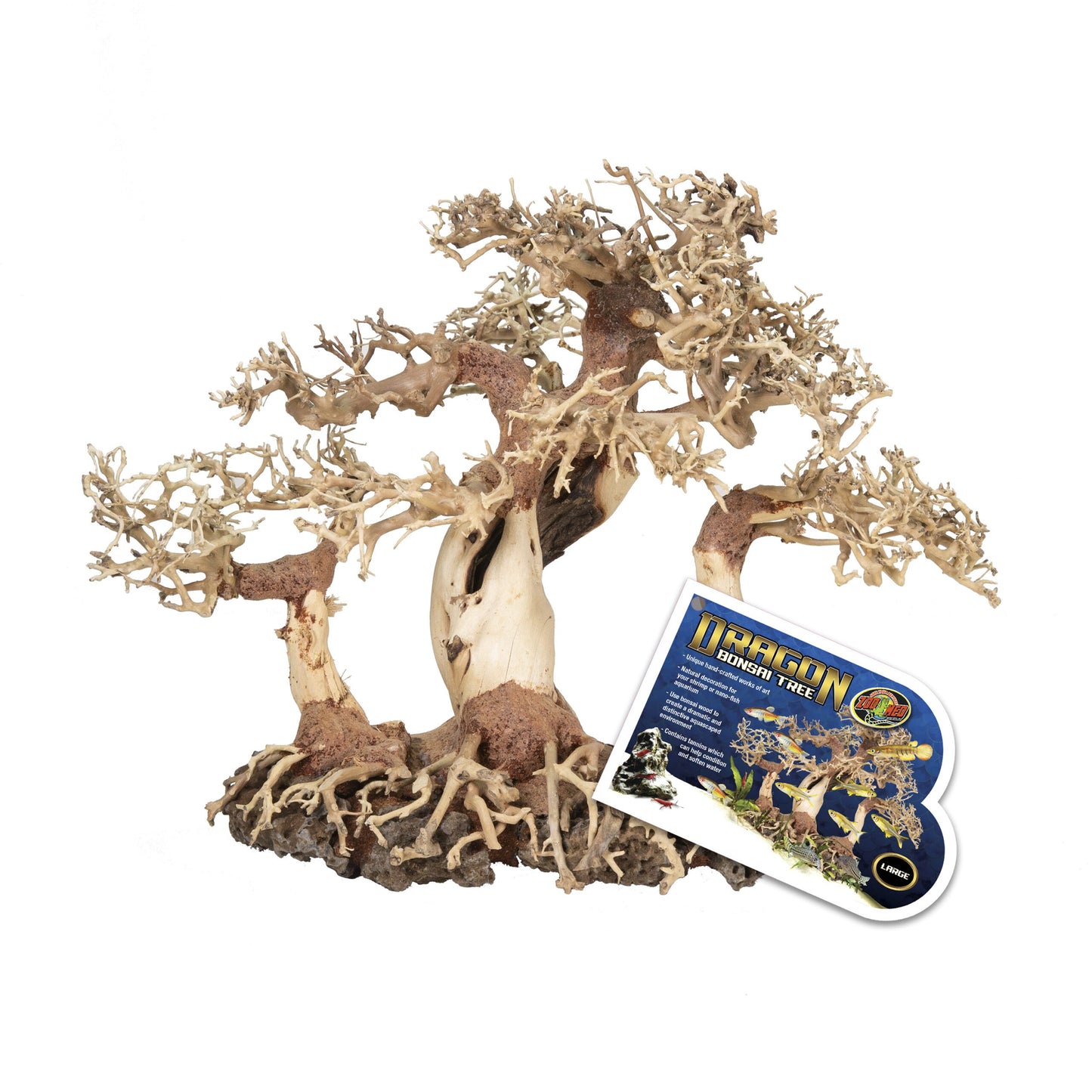 Dragon Bonsai Tree