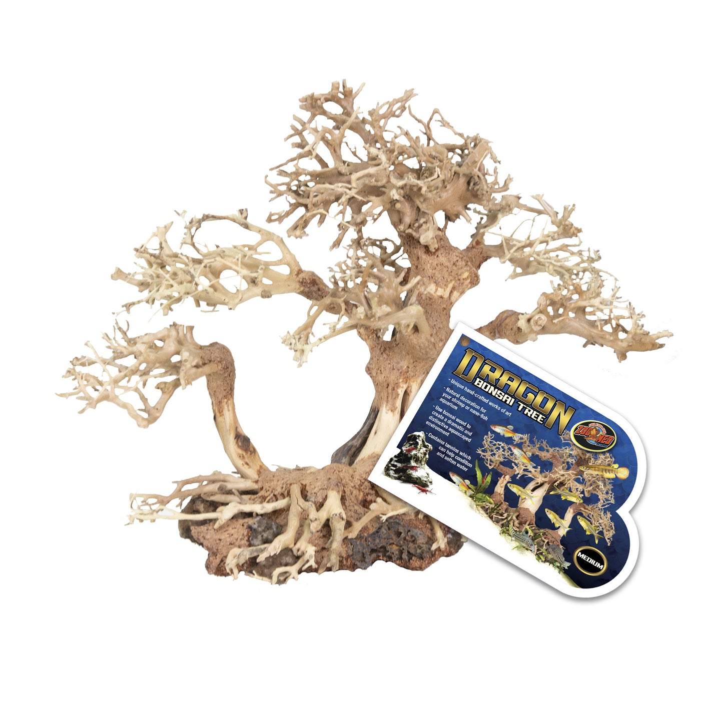 Dragon Bonsai Tree