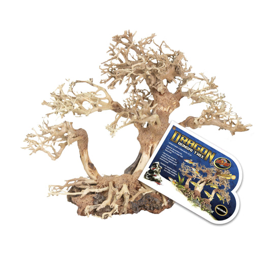 Dragon Bonsai Tree