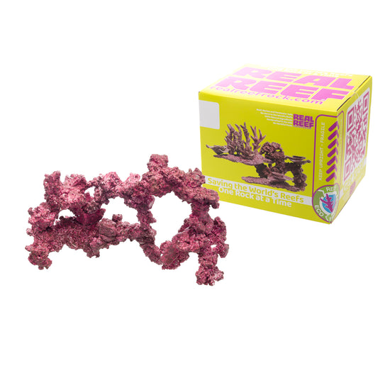 Real Reef Arches - Boxed Rock