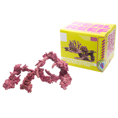 Real Reef Arches - Boxed Rock