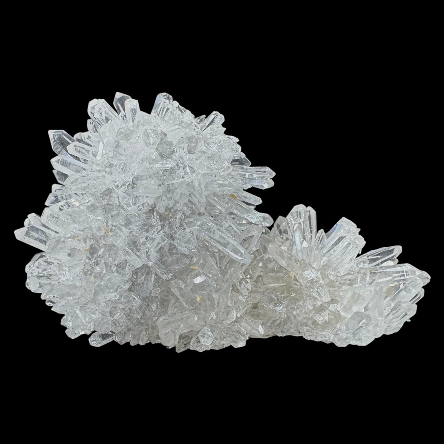 Chrysanthemum Stone