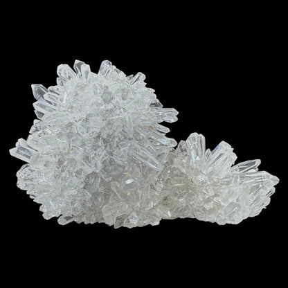 Chrysanthemum Stone
