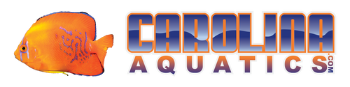 Carolina Aquatics