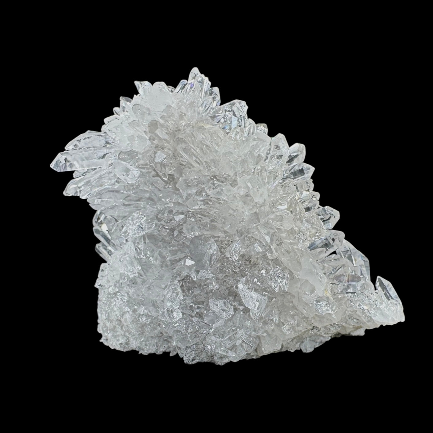Chrysanthemum Stone