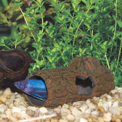 Betta Log - Ceramic Hide Log