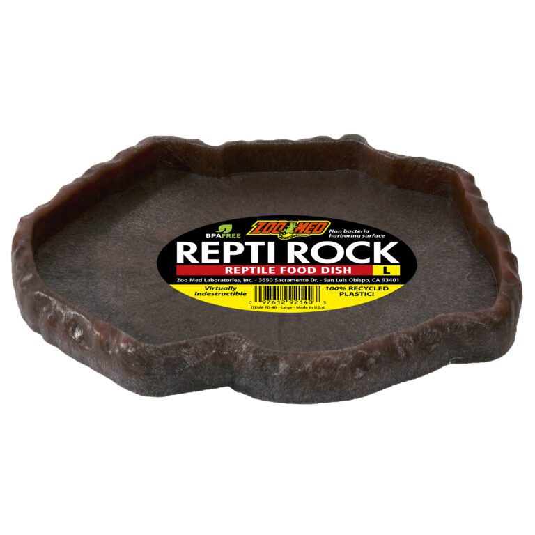 Repti Rock Food Dish
