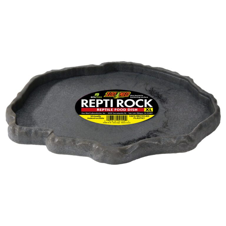 Repti Rock Food Dish