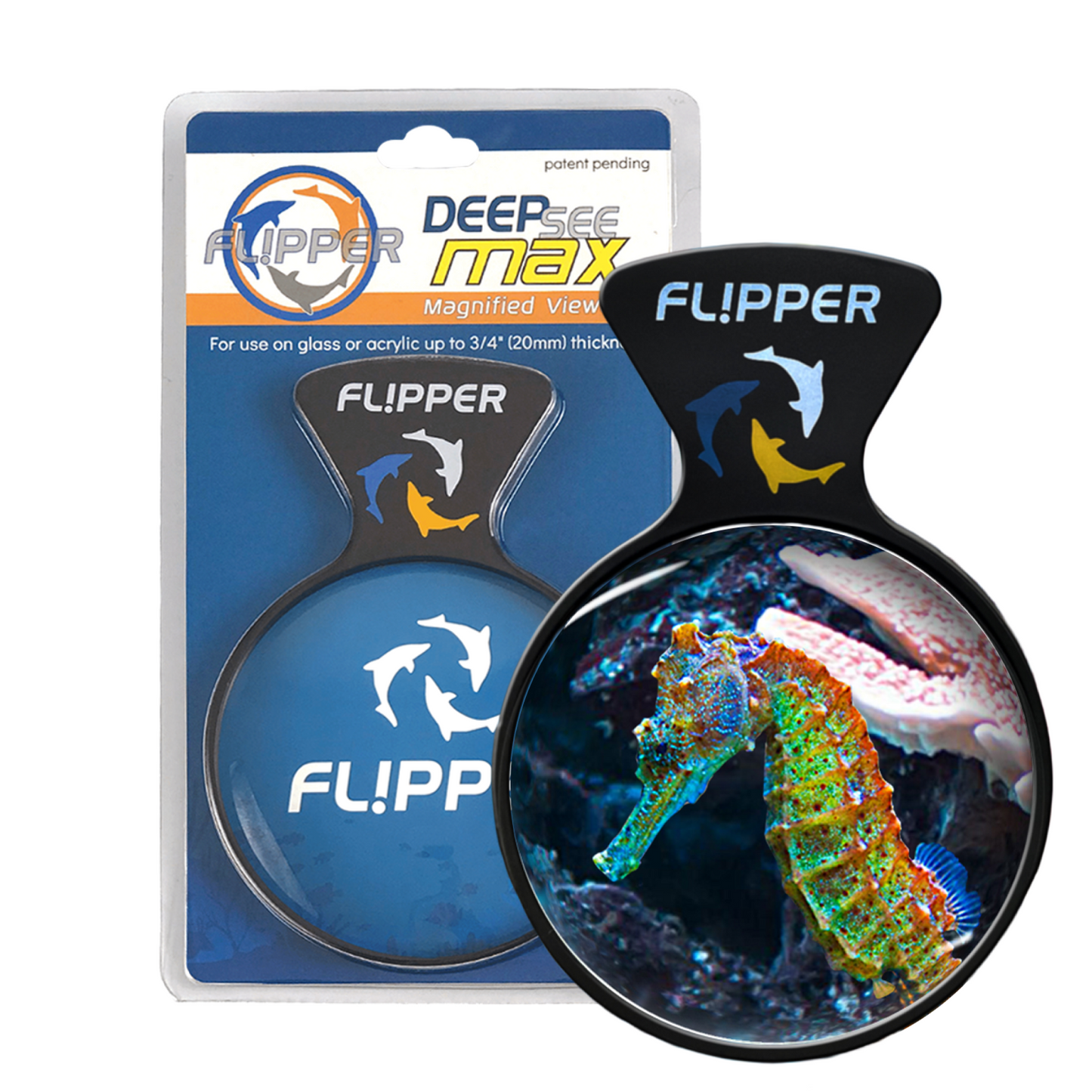 DeepSee Viewer