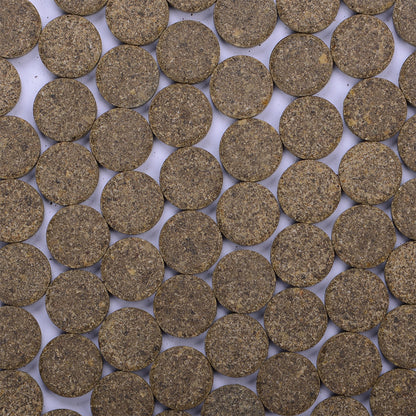 SFBB Nibble Bits Freshwater Herbivore
