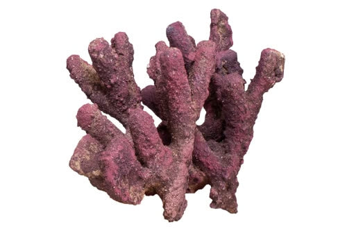 LifeRock Ultimate Branch Clusters