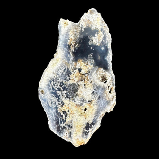 Petrified Coral