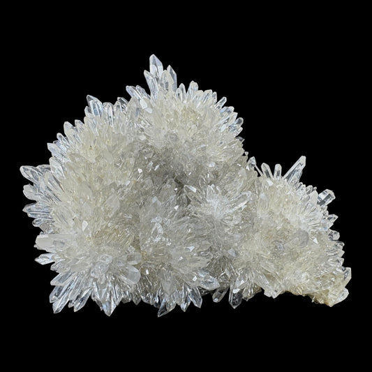 Chrysanthemum Stone