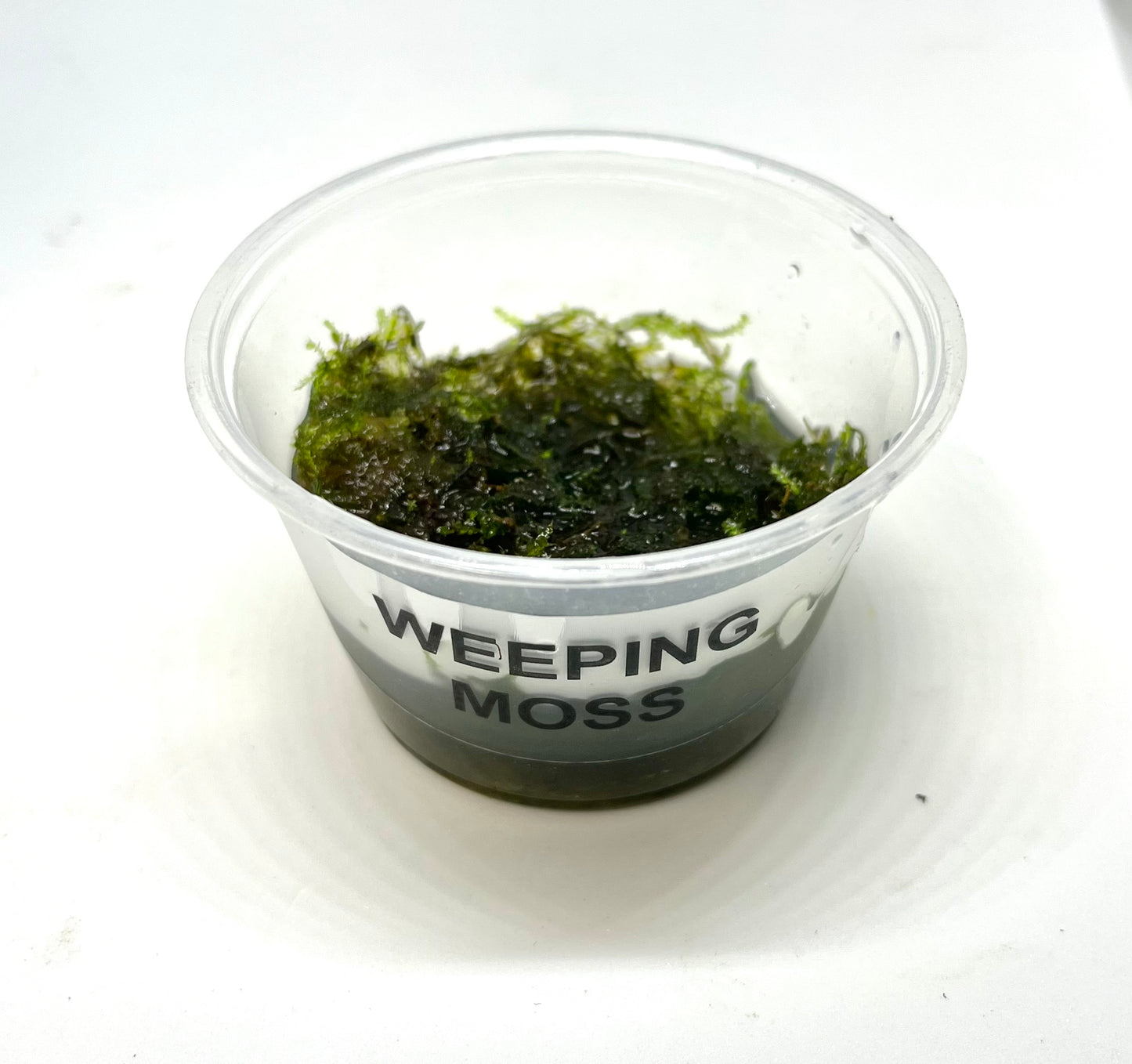 Weeping Moss Portion
