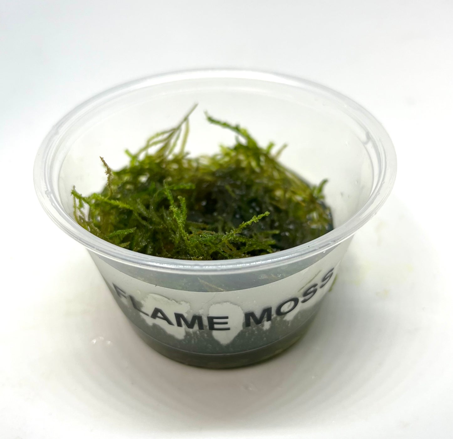 Flame Moss Portion