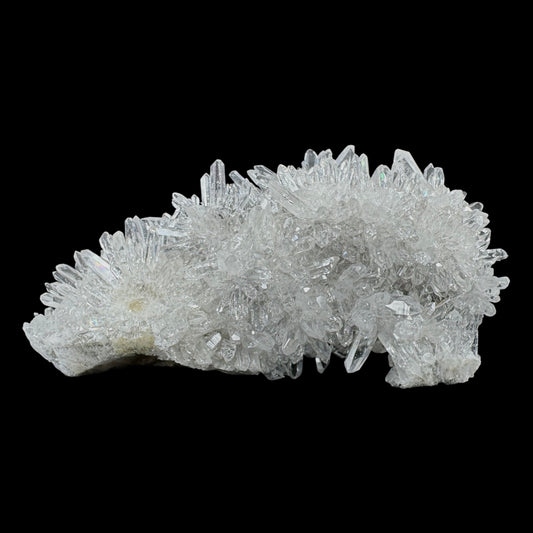 Chrysanthemum Stone