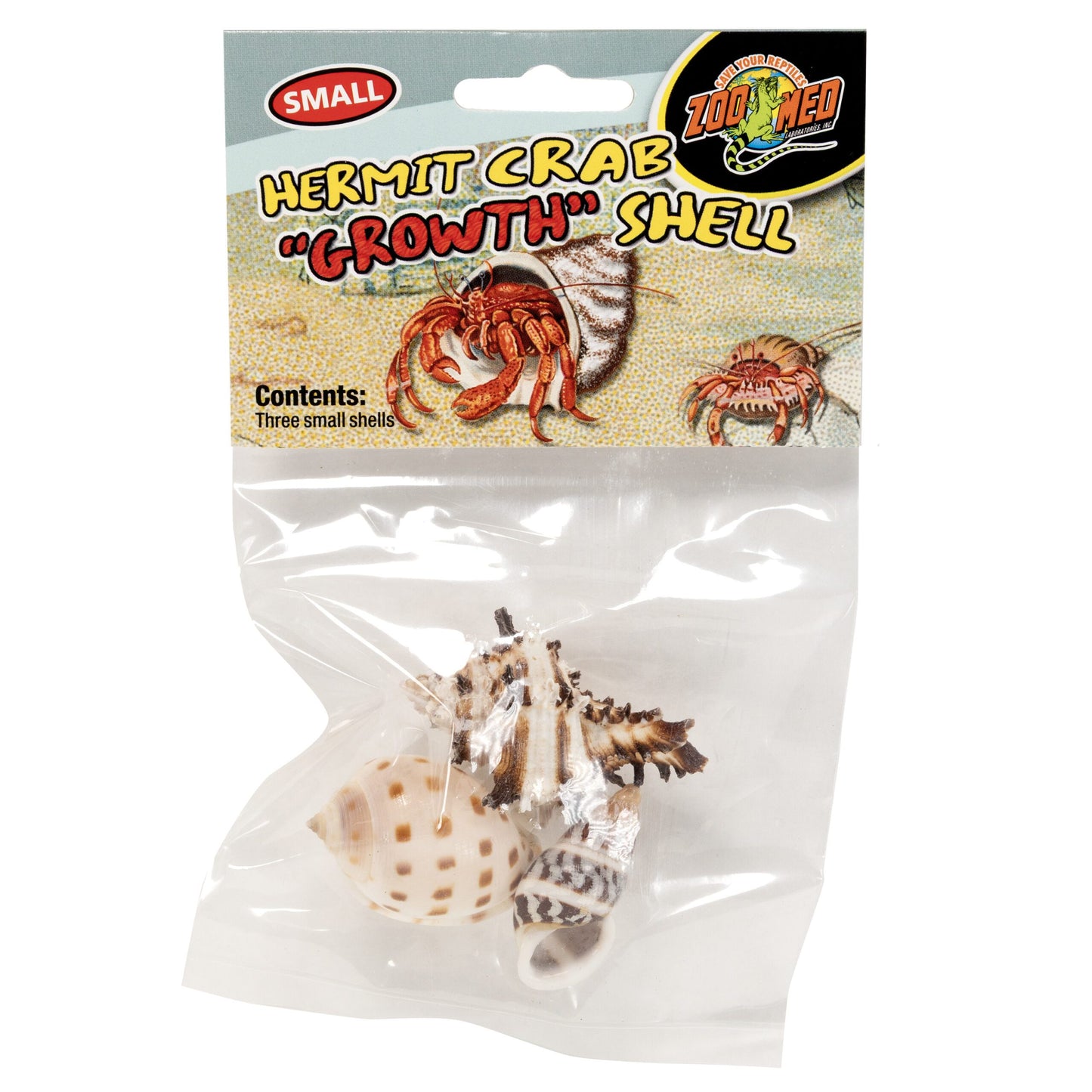 Hermit Crab "Growth" Shell