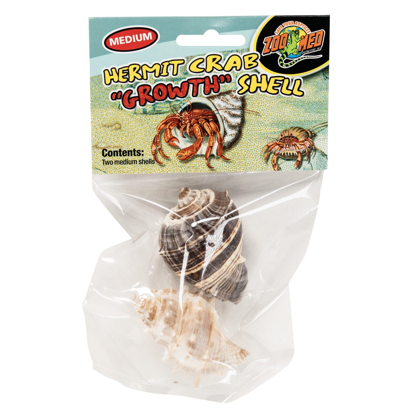 Hermit Crab "Growth" Shell