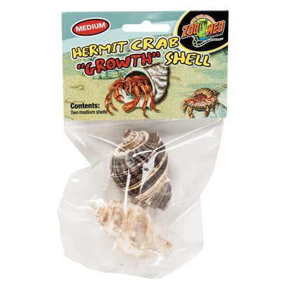 Hermit Crab "Growth" Shell