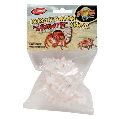 Hermit Crab "Growth" Shell