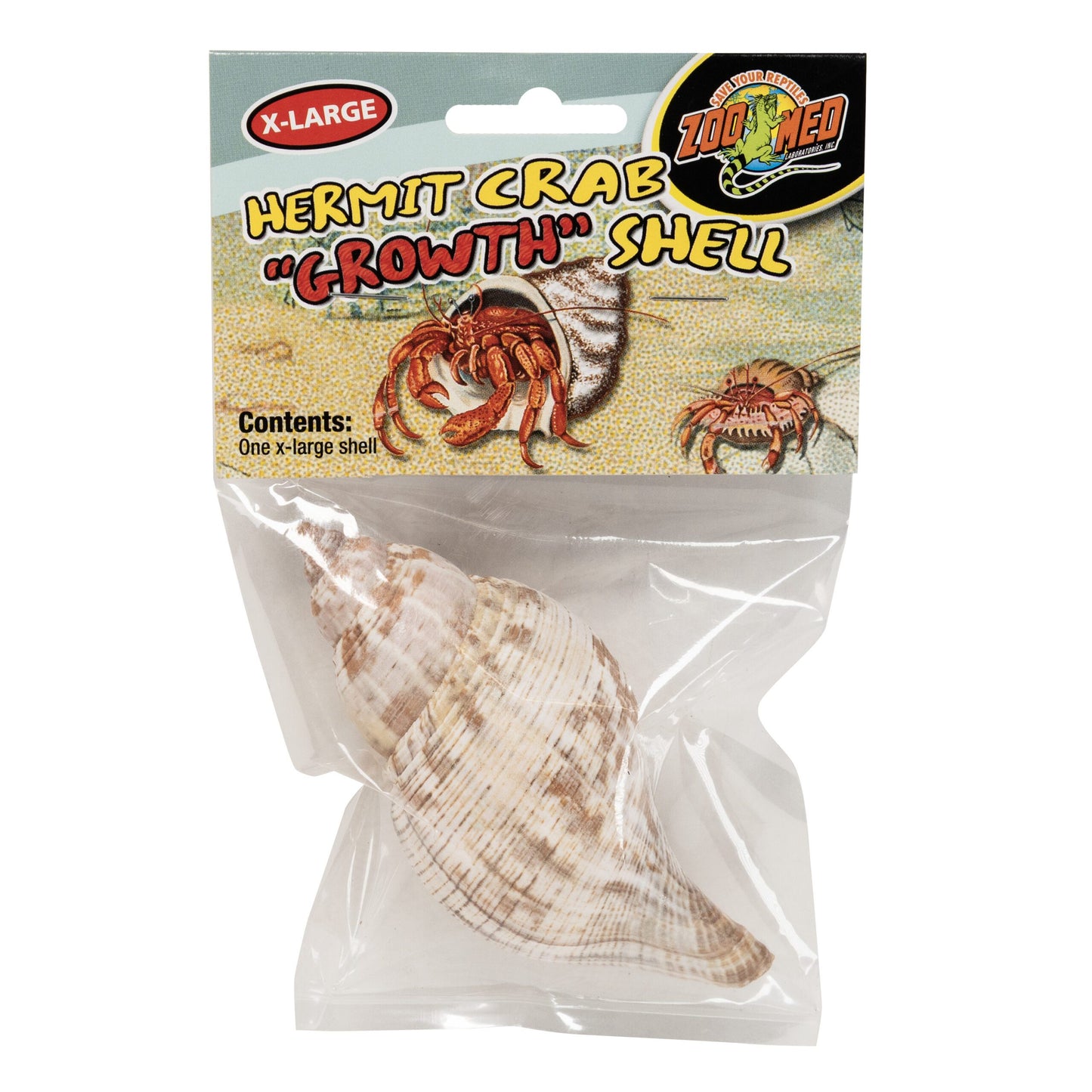 Hermit Crab "Growth" Shell