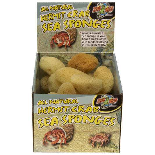 Hermit Crab Sponges