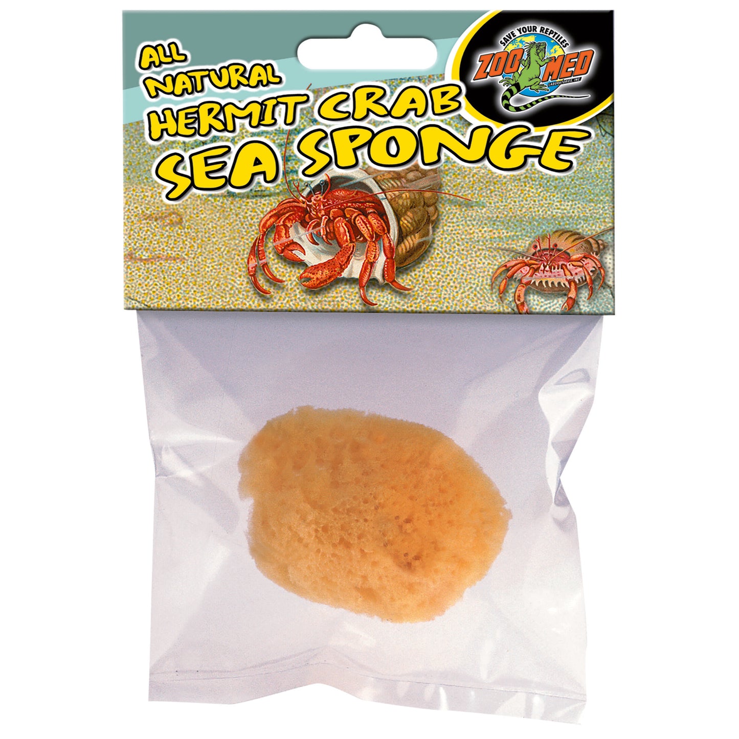 Hermit Crab Sponges