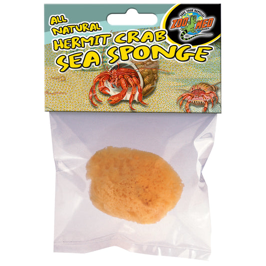 Hermit Crab Sponges