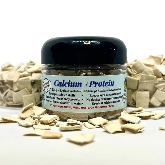 KatsAquatics Calcium + Protein