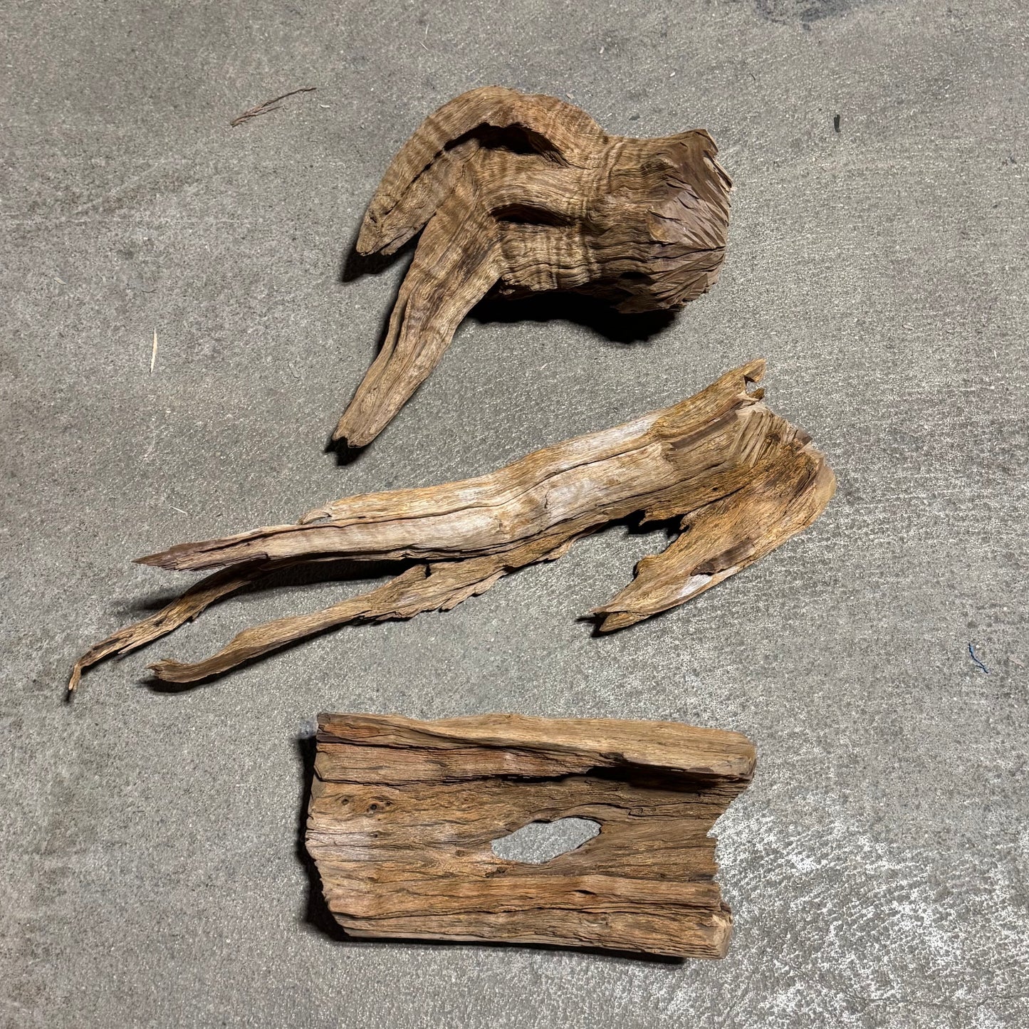 Driftwood - Mahogany Root