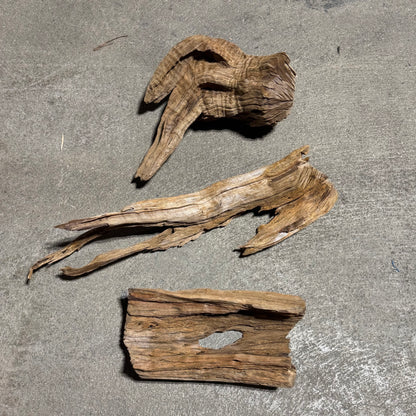 Driftwood - Mahogany Root