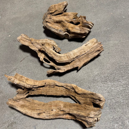 Driftwood - Mahogany Root