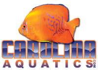 Aquarium Maintenance  North Carolina - East Carolina Pets