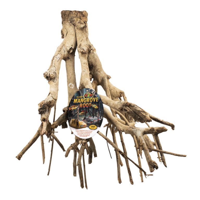 Talawa Mangrove Root