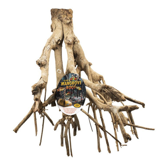 Talawa Mangrove Root