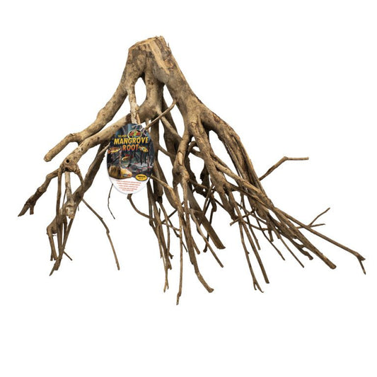 Talawa Mangrove Root