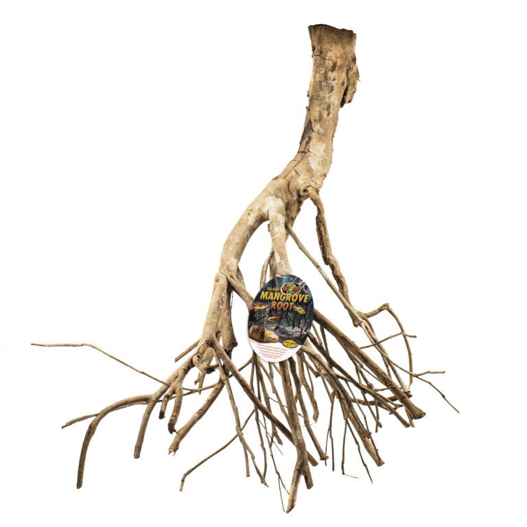 Talawa Mangrove Root