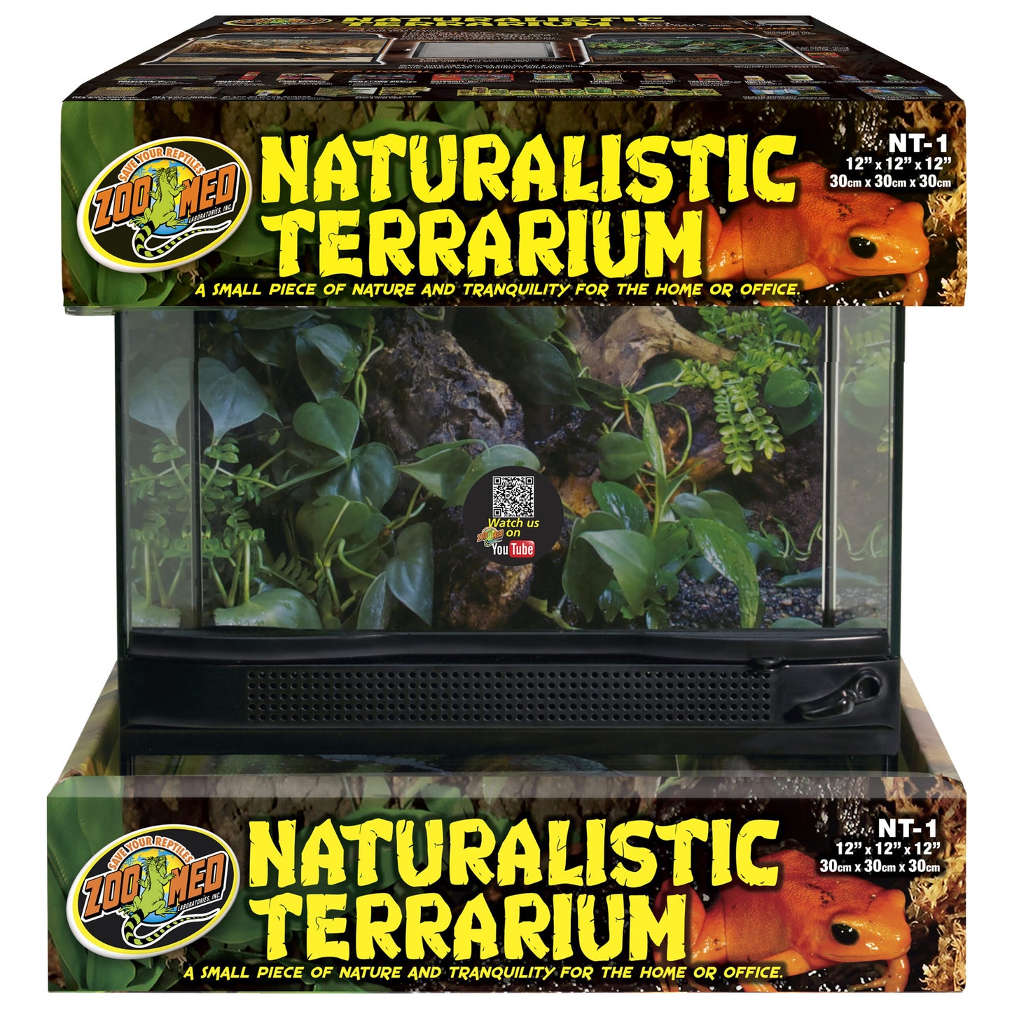 Naturalistic Terrarium