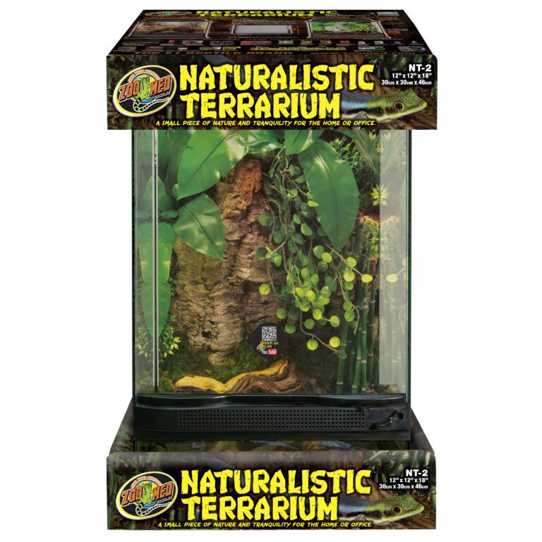 Naturalistic Terrarium