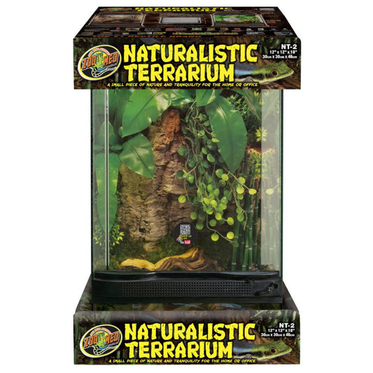 Naturalistic Terrarium