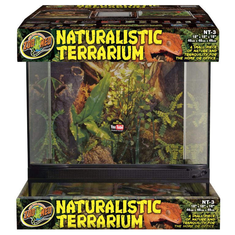 Naturalistic Terrarium