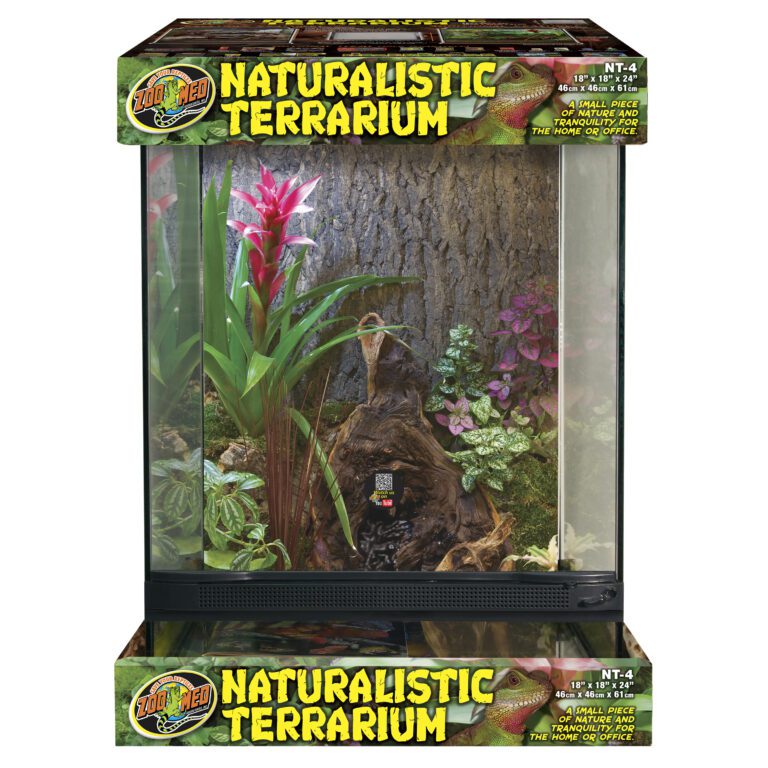 Naturalistic Terrarium