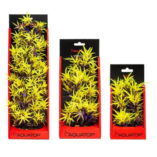 Fluorescent Cannabis Olive