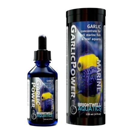 Garlic Power
