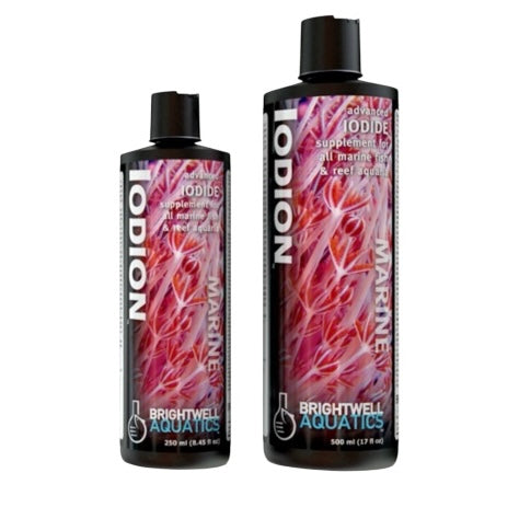 Iodion