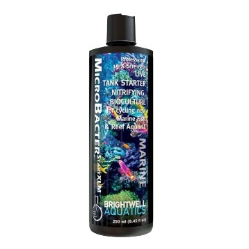 Microbacter StartXLM